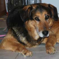 Boby