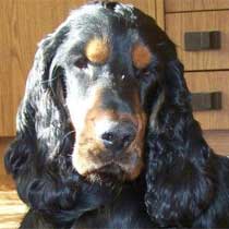Marley