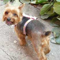 Peggy